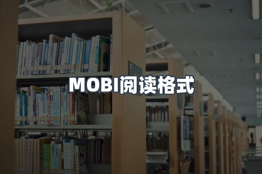 MOBI阅读格式